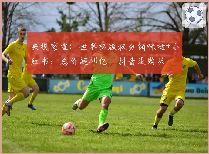 央视官宣:世界杯版权分销咪咕+小红书,总价超30亿!抖音没购买
