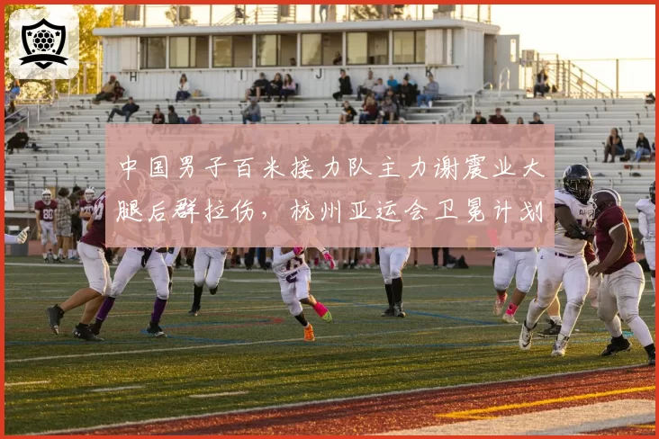 中国男子百米接力队主力谢震业大腿后群拉伤，杭州亚运会卫冕计划受阻