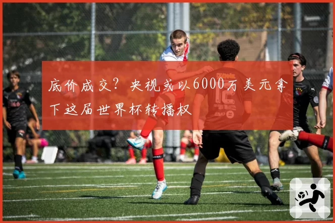 底价成交？央视或以6000万美元拿下这届世界杯转播权