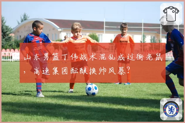 山东男篮丁伟战术混乱成过街老鼠,高速集团酝酿换帅风暴?
