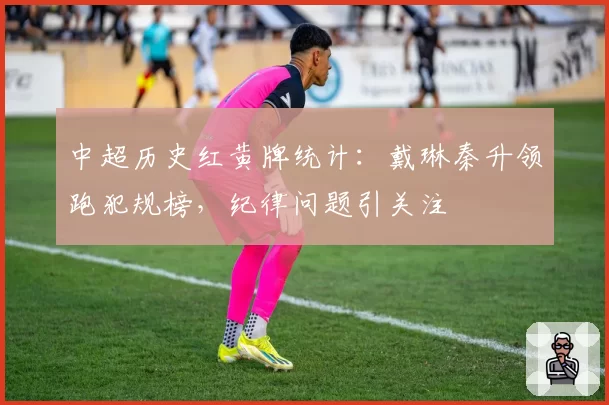 中超历史红黄牌统计：戴琳秦升领跑犯规榜，纪律问题引关注